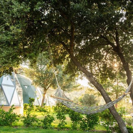 Lusso Glamping Bodrum Hotel Exterior photo