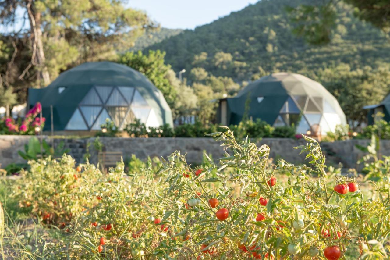 Lusso Glamping Bodrum Hotel Exterior photo